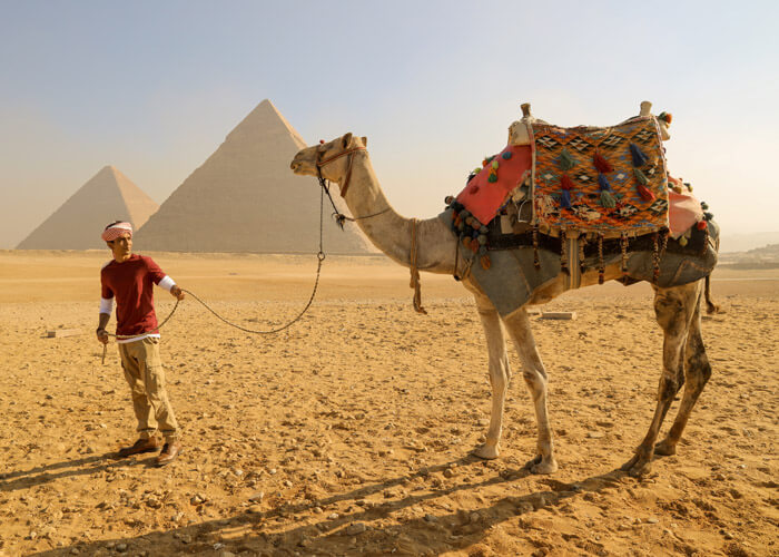 camel ride at pyramids