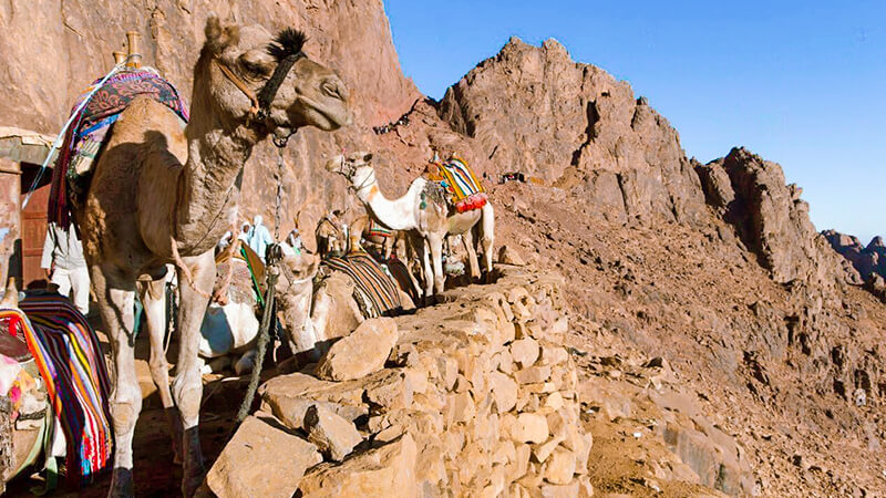 mount sinai in egypt 