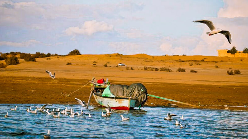 al fayoum oasis