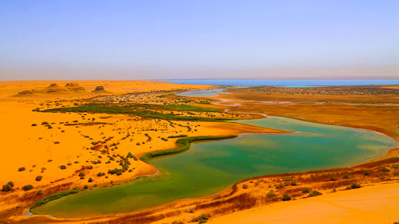 al fayoum oasis