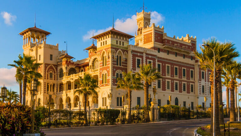 MONTAZAH visual data 7