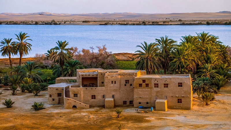egypt siwa oasis
