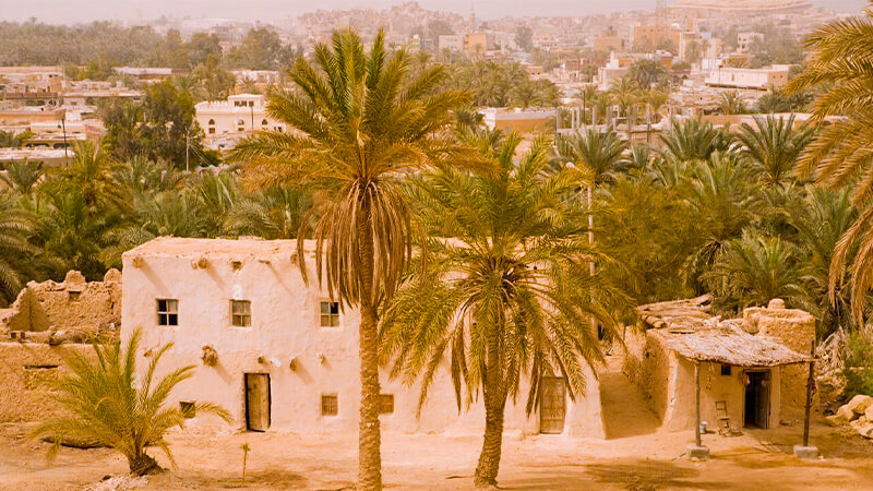 egypt siwa oasis