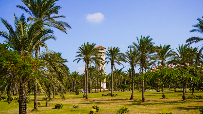 MONTAZAH intelligence overview