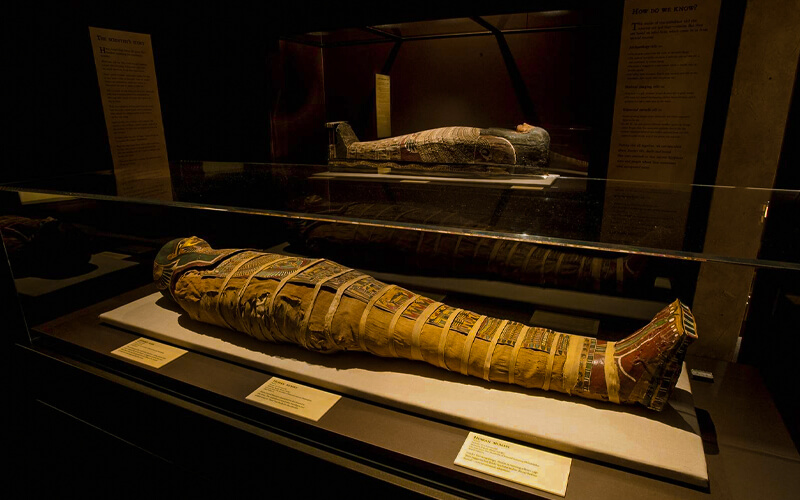 Museum of Mummification